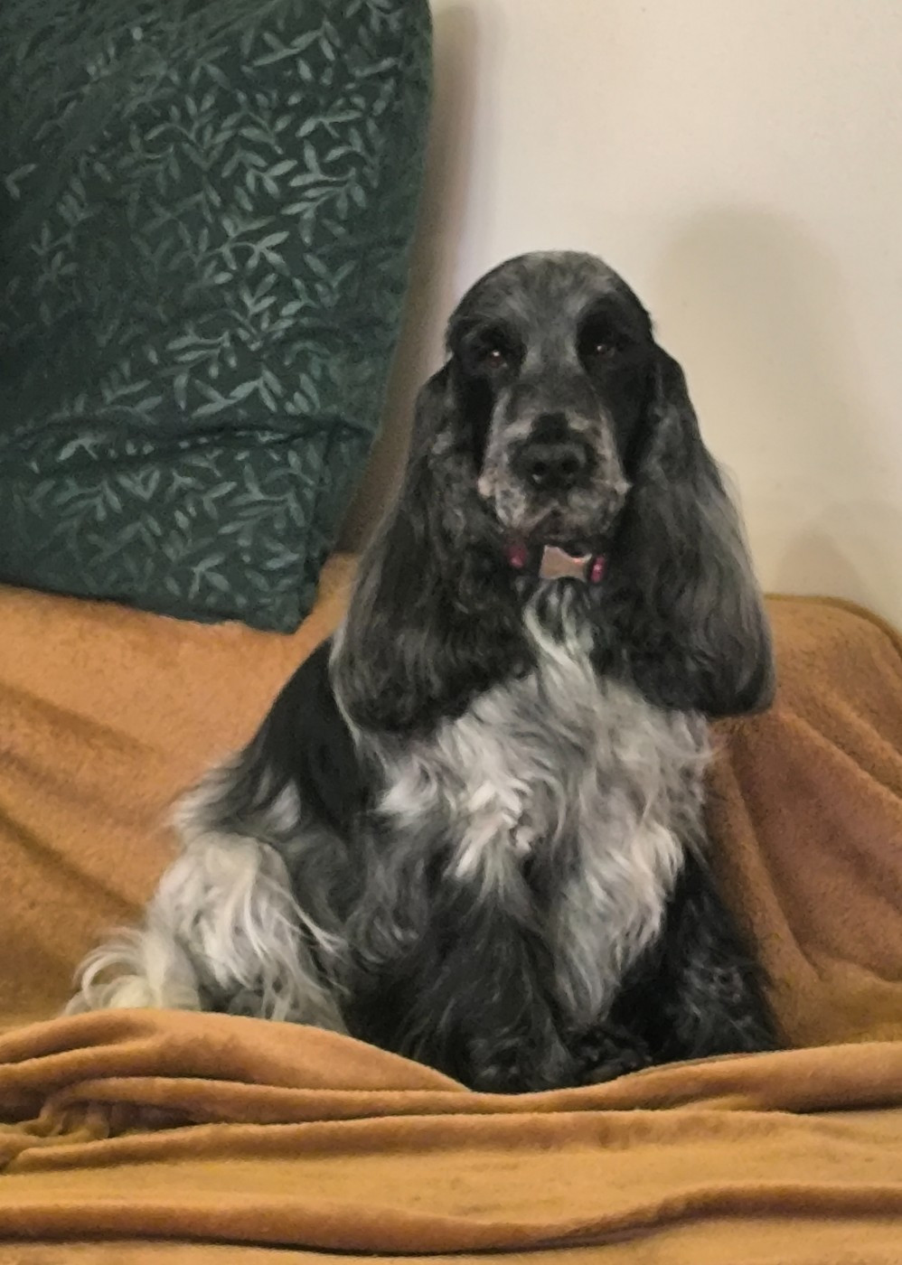 So sweet and Lovely Rim'elle