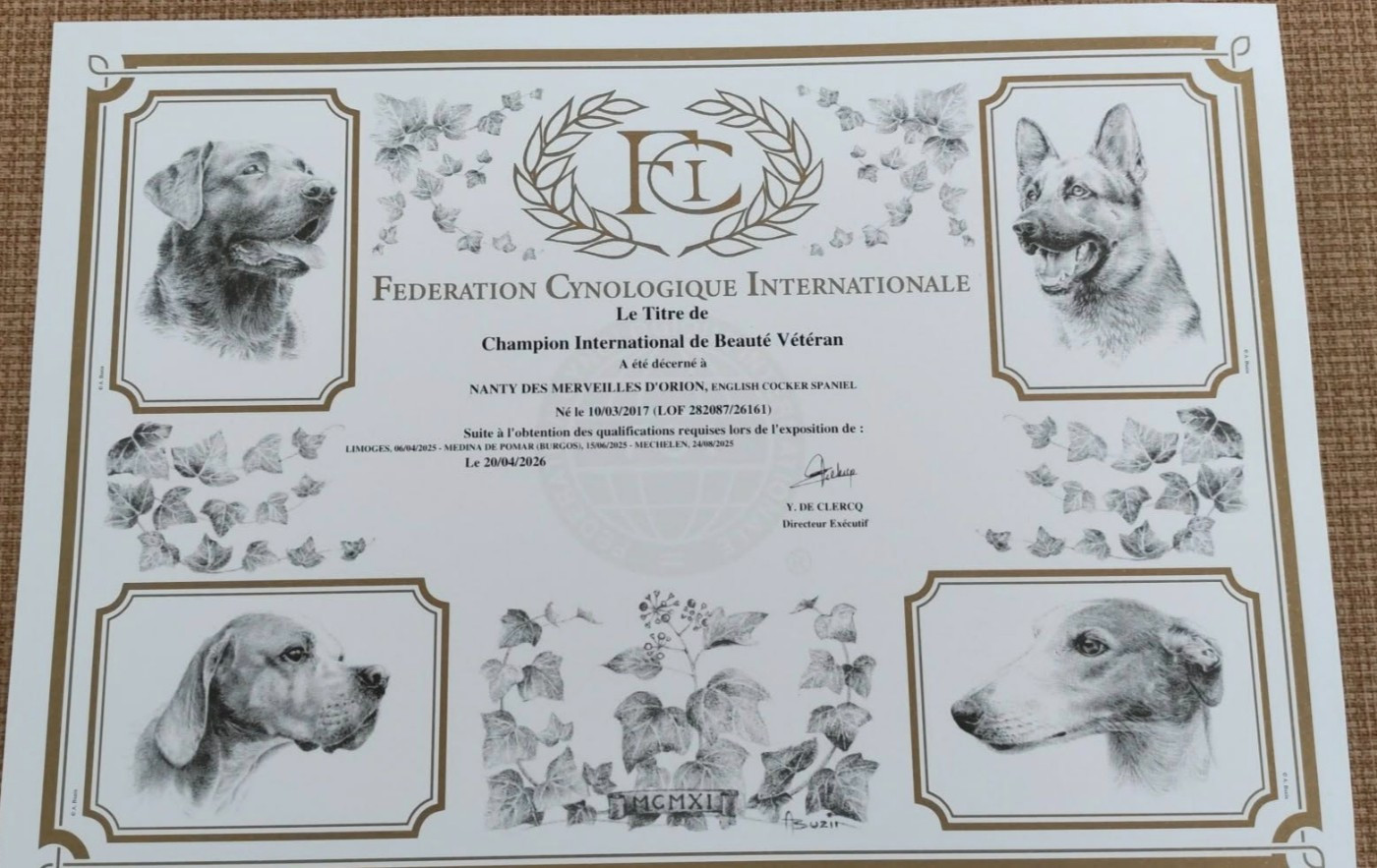 Champio vétéran